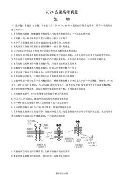 2024安徽高考真题生物（教师版）-答案