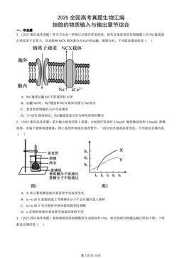 2025全国高考真题生物汇编：细胞的物质输入与输出章节综合-答案