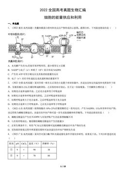2022全国高考真题生物汇编：细胞的能量供应和利用-答案