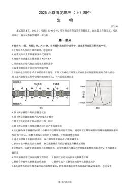 2025北京海淀高三（上）期中生物（教师版）-答案
