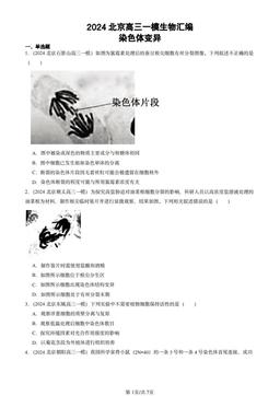 2024北京高三一模生物汇编：染色体变异-答案