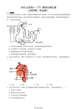 2025北京初一（下）期末生物汇编：人的呼吸（京改版）-答案