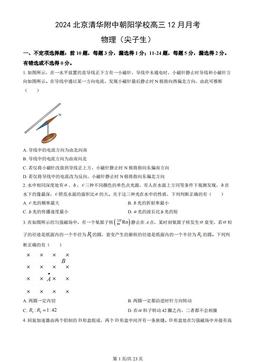2024北京清华附中朝阳学校高三12月月考物理（尖子生）（教师版）