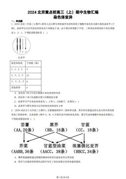 2024北京重点校高三（上）期中生物汇编：染色体变异-答案