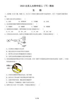 2022北京人大附中初二（下）期末生物（教师版）-答案