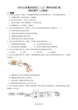 2025北京重点校初二（上）期中生物汇编：神经调节（人教版）-答案