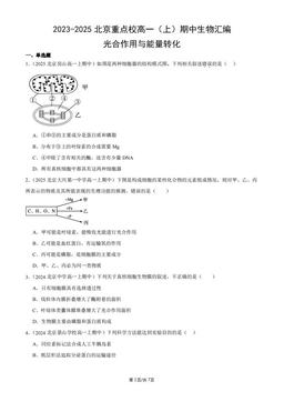 2023-2025北京重点校高一（上）期中生物汇编：光合作用与能量转化-答案