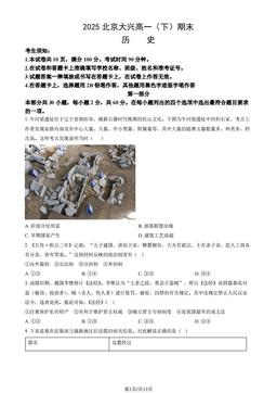 2025北京大兴高一（下）期末历史（教师版）-答案