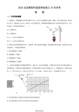 2024北京朝阳外国语学校高三10月月考物理（教师版）-答案