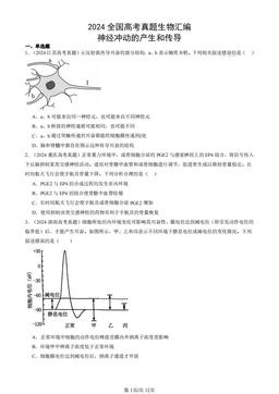 2024全国高考真题生物汇编：神经冲动的产生和传导-答案