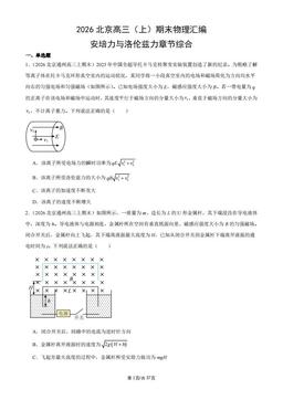 2026北京高三（上）期末物理汇编：安培力与洛伦兹力章节综合-答案