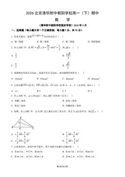 2026北京清华附中朝阳学校高一（下）期中数学（教师版）-答案