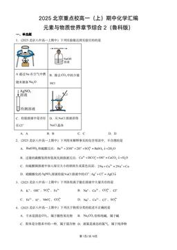 2025北京重点校高一（上）期中化学汇编：元素与物质世界章节综合2（鲁科版）-答案