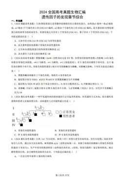 2024全国高考真题生物汇编：遗传因子的发现章节综合-答案