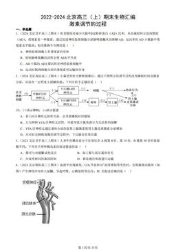2022-2024北京高三（上）期末生物汇编：激素调节的过程-答案