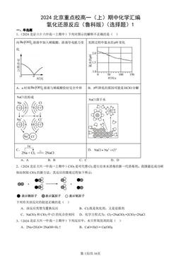 2024北京重点校高一（上）期中化学汇编：氧化还原反应（鲁科版）（选择题）1-答案