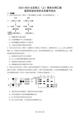 2022-2024北京高三（上）期末生物汇编：基因和染色体的关系章节综合-答案