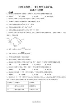 2022北京高一（下）期中化学汇编：铁及其化合物-答案