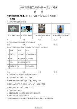 2026北京理工大附中高一（上）期末化学（教师版）-答案