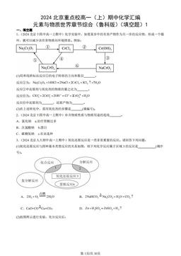 2024北京重点校高一（上）期中化学汇编：元素与物质世界章节综合（鲁科版）（填空题）1-答案