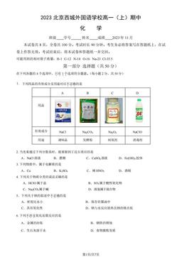 2023北京西城外国语学校高一（上）期中化学（教师版）-答案